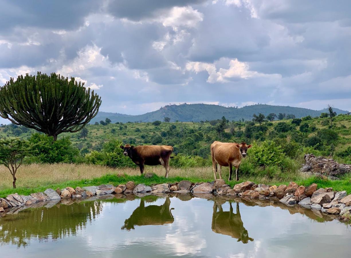 Olepangi Farm Βίλα Nanyuki Εξωτερικό φωτογραφία