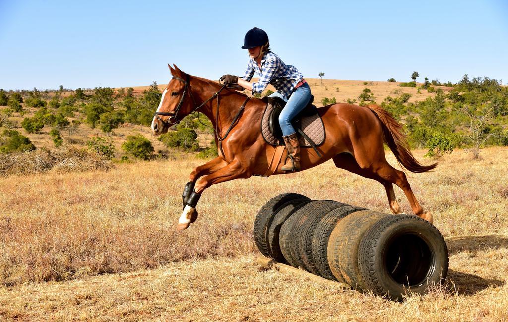 Olepangi Farm Βίλα Nanyuki Εξωτερικό φωτογραφία