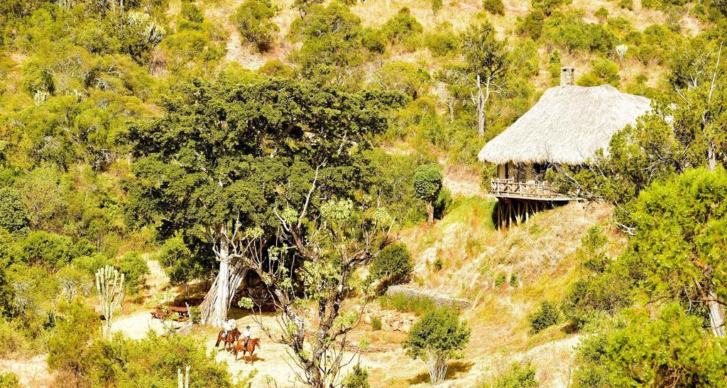 Olepangi Farm Βίλα Nanyuki Εξωτερικό φωτογραφία
