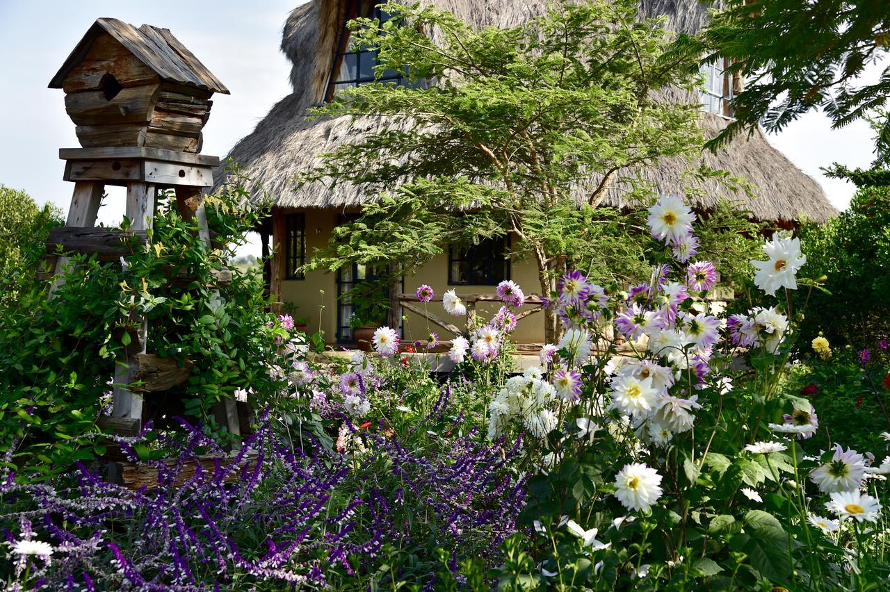 Olepangi Farm Βίλα Nanyuki Εξωτερικό φωτογραφία